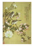 Crabapple, Magnolia and Baitou Birds Giclee Print by Ma Yuanyu