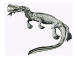 Prehistoric Crocodile Eating a Fish Giclee Print by Helen Haywood