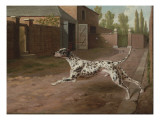 A Dalmation Running in a Stable Yard Giclee Print by Philip Reinagle