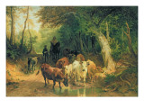 Cattle Watering in a Wooded Landscape Reproduction procédé giclée par Friedrich Voltz
