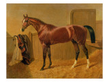 Orlando', Winner of the Derby in 1844 Giclee Print by John Frederick Herring Snr