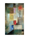 Small Picture of Fir Trees, 1922 reproduction procédé giclée par Paul Klee