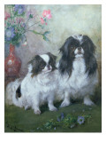 A Japanese Chin Bitch and Her Puppy, 1919 reproduction procédé giclée par Frances C. Fairman