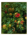 Pomegranates, Majorca, C.1908 Reproduction procédé giclée par John Singer Sargent