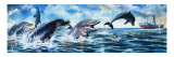 Boy Swimming with Dolphins Giclee Print by Jesus Blasco