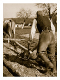 A German Farmer at Work Giclee Print by German Photographer 