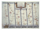 The Road from London to Arundel reproduction procédé giclée par John Ogilby
