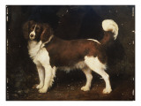 A Spaniel in a Landscape, 1784 Giclee Print by George Stubbs