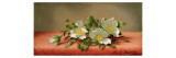 Cherokee Roses, 1889 Giclee Print by Martin Johnson Heade