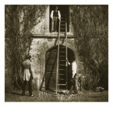 The Ladder, April 1844 Giclee Print by Talbot 