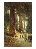 In the Redwoods, 1899 Lámina giclée por Thomas Hill In the Redwoods, 1899 Lámina giclée por Thomas Hill