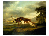 A Hound Attacking a Stag Giclee Print by George Stubbs