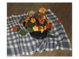 Bowl of Nasturtiums reproduction procédé giclée par Félix Vallotton
