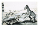 Prehistoric Animals Giclee Print by Helen Haywood