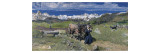 Spring in the Alps, 1897 reproduction procédé giclée par Giovanni Segantini
