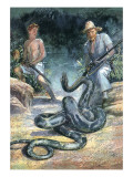 Swiss Family Robinson Reproduction procédé giclée par John Millar Watt