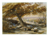 Sheep in the Shade, C.1851 Giclee Print by Samuel Palmer