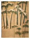 Bamboo, Momoyama Period Impressão giclée por Japanese School