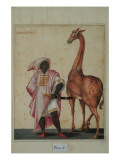 Berber with a Giraffe Giclee Print by Jacopo Ligozzi