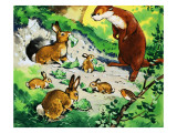 Fliptail the Otter Giclee Print by Bert Felstead