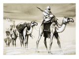 Camels Crossing the Desert Giclee Print by Mcbride 