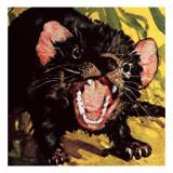The Tasmanian Devil Lámina giclée por English School