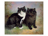 A Pair of Pussy Cats Giclee Print by Lilian Cheviot