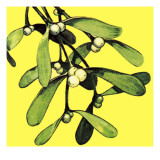 Mistletoe Giclee Print by English School 