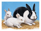Rabbits Giclee Print by R. B. Davis