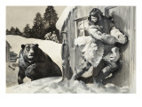 Grizzly Bear Giclee Print by McConnell 