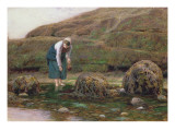 The Winkle Gatherer, 1869 Giclee Print by John Dawson Watson