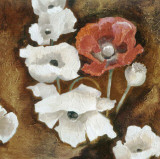 Loose Poppies II Prints by A. Taylor