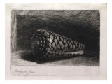 La coquille Reproduction procédé giclée par Rembrandt van Rijn 