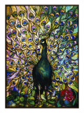 Peacock Giclee Print by American School