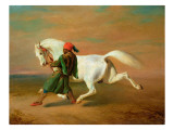 The Pasha's Pride Giclee Print by Alfred De Dreux