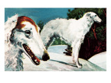 Borzoi Giclee Print by English School 