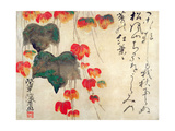 Coquelicots Reproduction procédé giclée par Japanese School 