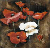 Loose Poppies I Poster by A. Taylor
