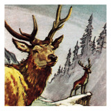 Red Deer Giclee Print by English School 