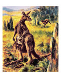 Kangaroo Lámina giclée por English School Kangaroo Lámina giclée por English School