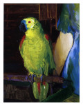 Parrot, 1915 Giclee-trykk av George Wesley Bellows Parrot, 1915 Giclee-trykk av George Wesley Bellows