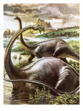 Diplodocus Giclee Print by Payne 