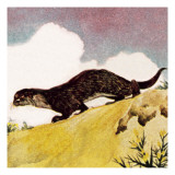 An Otter Giclee Print by English School 