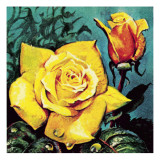 Rose with Dew Lámina giclée por McConnell