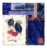 My Orchard Prints by Monica Walley