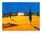 Summer in Provence I Affiche par B. Arroldi