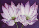 Lotus Love Posters by Kaye Lake