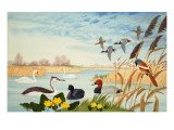 Nature Scene Giclée-Druck von John Rignall