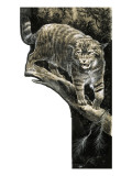 Chat sauvage reproduction procédé giclée par G. W Backhouse
