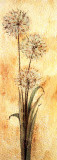 Golden Dandelion II Posters by Corinna Salomon